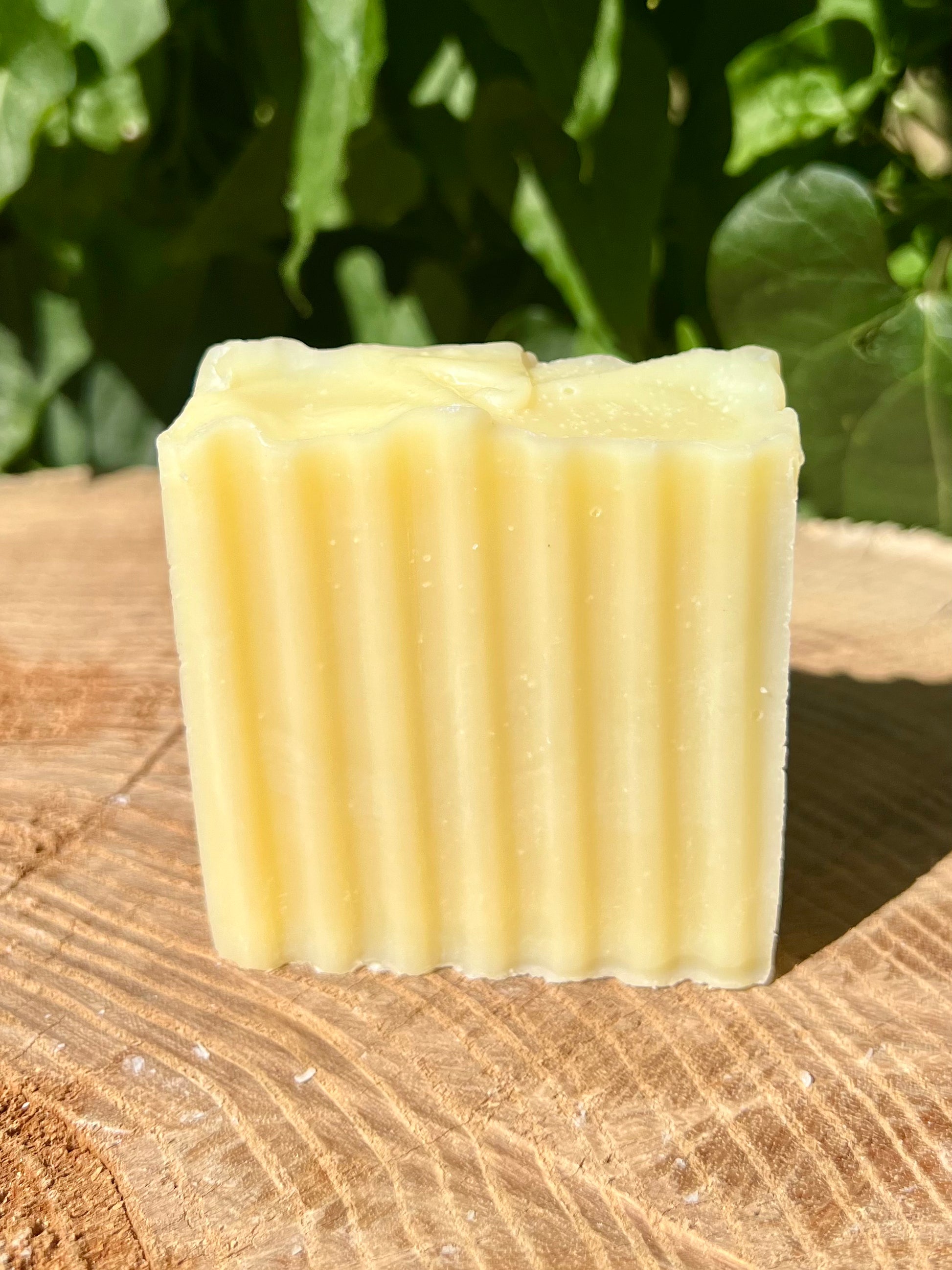 Coconut Oil Olive Oil Beef Tallow soap