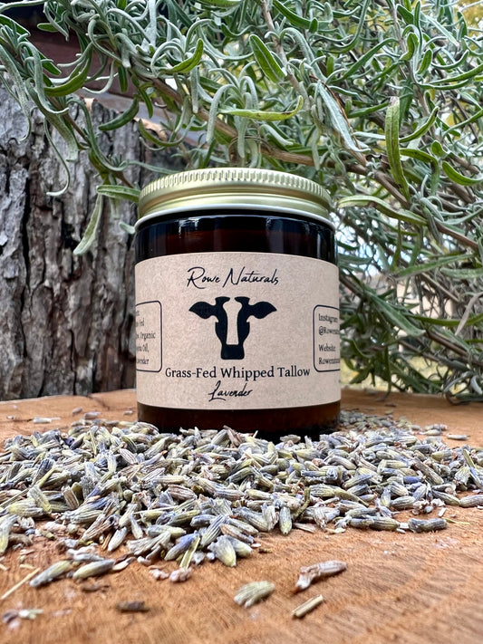 Jar of Grass-fed Lavender Whipped Beef Tallow