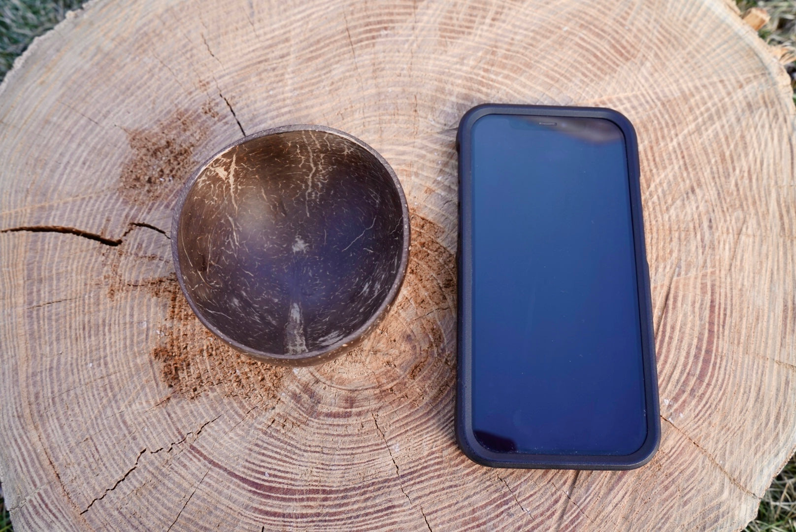 Mini Coconut Bowl next to phone