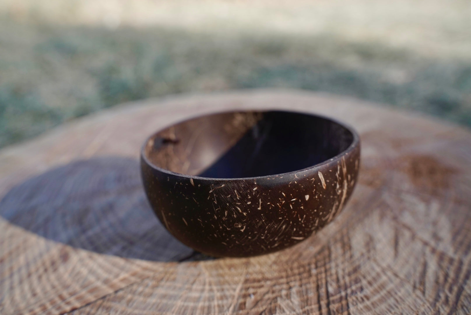 Mini Coconut Bowl