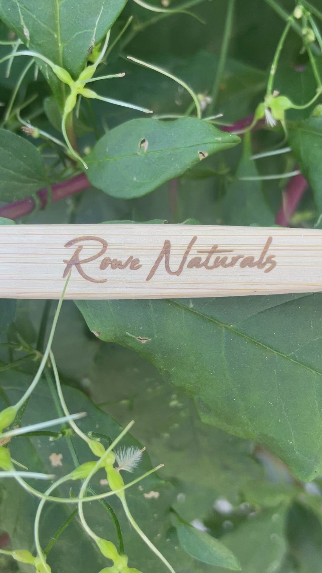 100% Bamboo and Boar Bristle Toothbrush